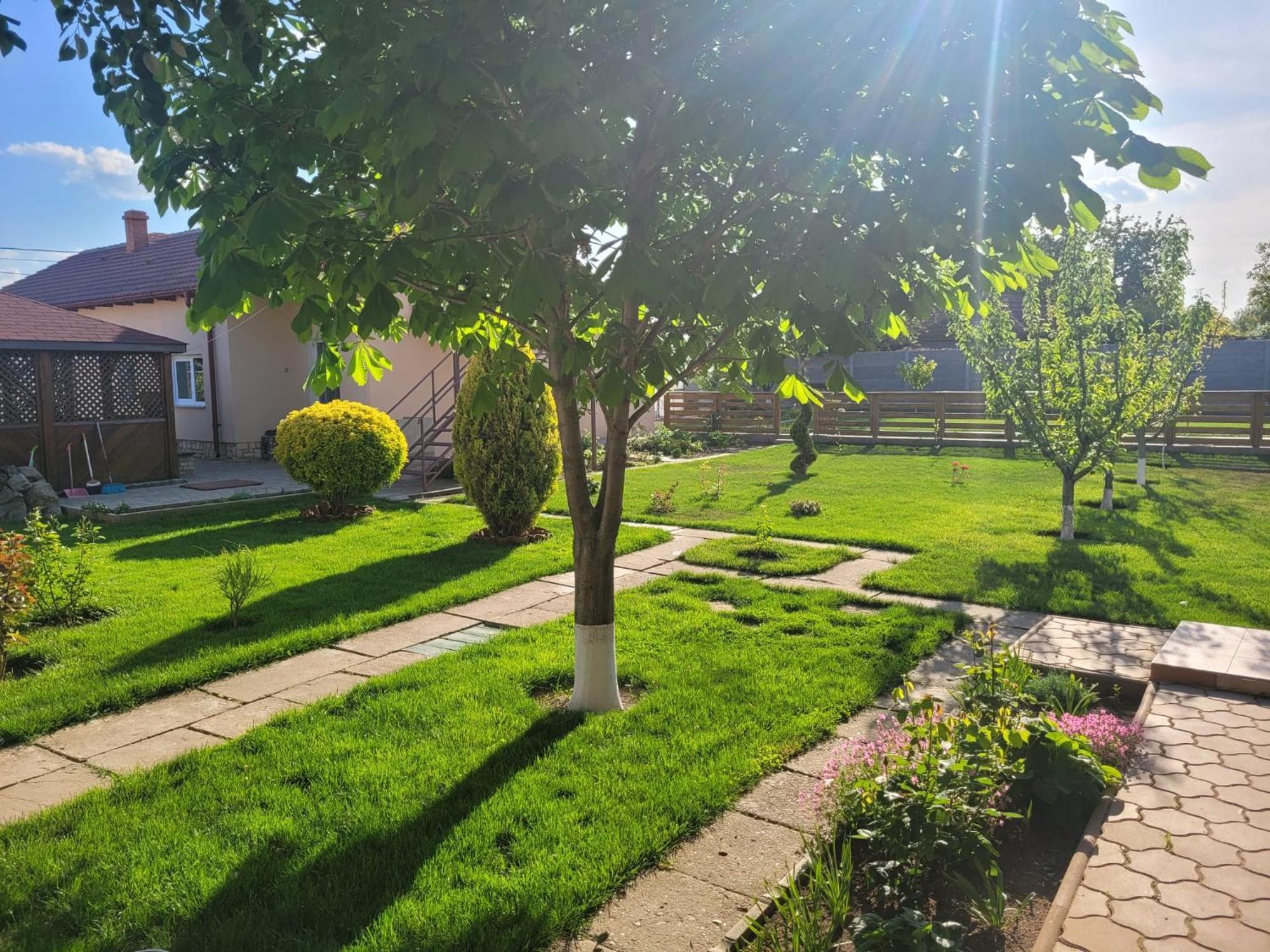 Casa Viviana 호텔 Baia 외부 사진